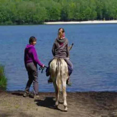 Glamping In Signy-l Abbaye *