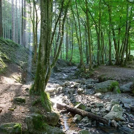 Glamping In Signy-l Abbaye Apartment *