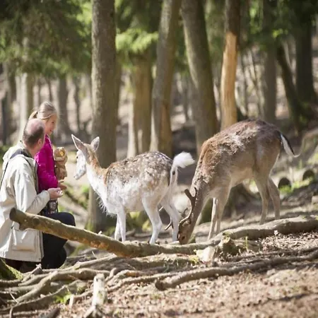 Glamping In Signy-l Abbaye Signy-lʼAbbaye